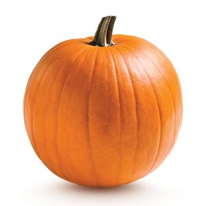 jack o'lantern